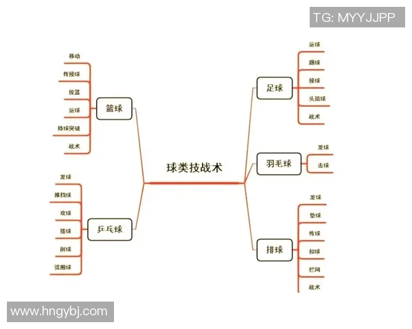 武汉排球队的灵活性揭秘：排球运动中的战术与技巧探讨